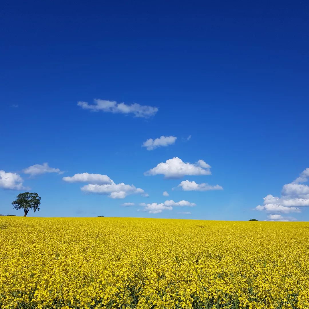 Bed and Breakfast Ostsee - Schleswig-Holstein