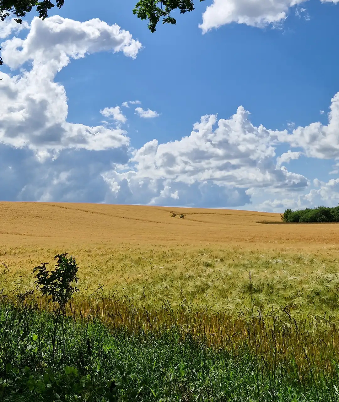 Unterkunft Ostsee - Probstei