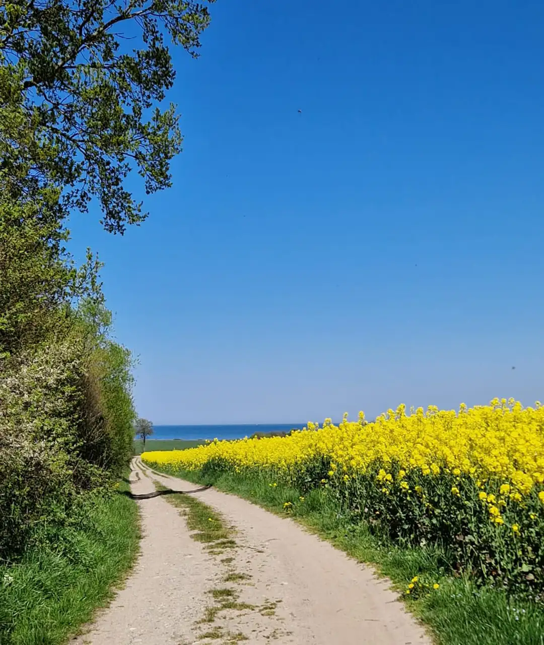 Unterkunft Ostsee - Strand